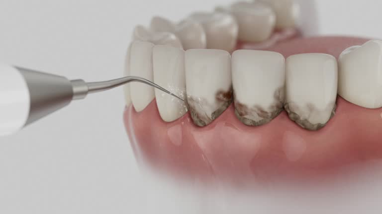 Reliable Dental contractor in Rolling Hills Estates, CA by Dentist Open Now